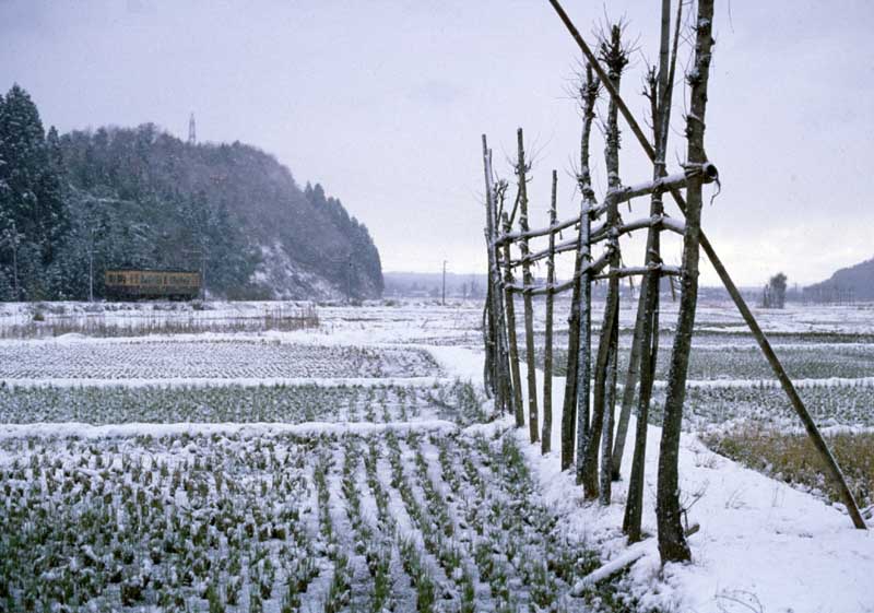 蒲原鉄道　モハ41　大蒲原