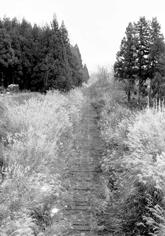 蒲原鉄道廃線跡