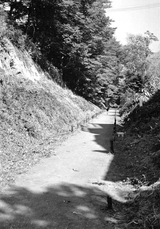 上田丸子電鉄廃線跡